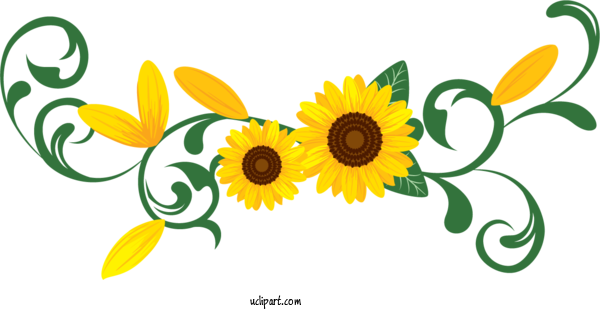 Free Flowers Design Common Sunflower Flower For Sunflower Clipart Transparent Background