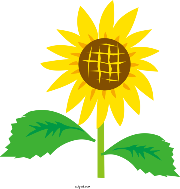 Free Flowers Royalty Free Design For Sunflower Clipart Transparent Background