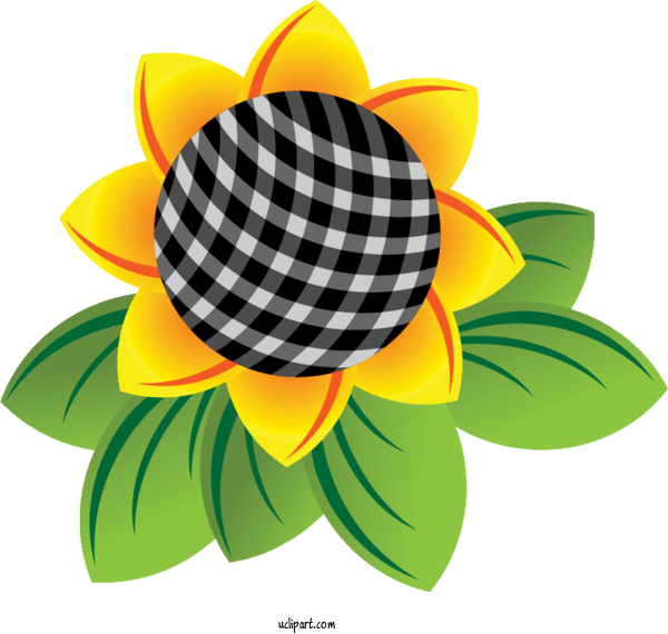 Free Flowers Common Sunflower Sunflower Seed Drawing For Sunflower Clipart Transparent Background