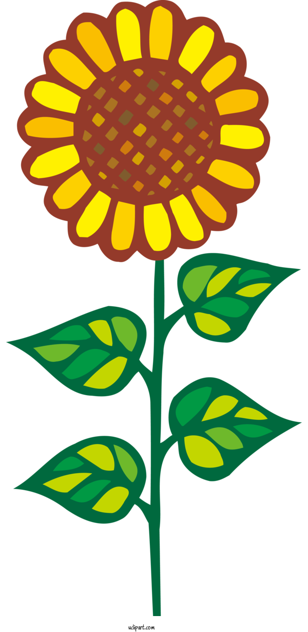 Free Flowers Design Poster Royalty Free For Sunflower Clipart Transparent Background