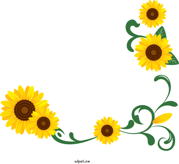 Free Flowers Common Sunflower Design Watercolor Painting For Sunflower Clipart Transparent Background