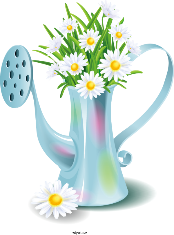 Free Flowers Flowerpot Watering Can Flower Garden For Marguerite Clipart Transparent Background