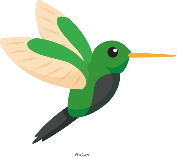 Free Animals Hummingbirds Insect Beak For Bird Clipart Transparent Background