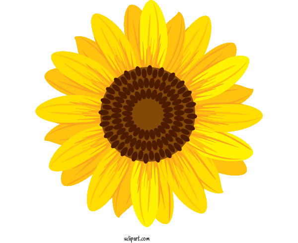 Free Flowers Car  GMC For Sunflower Clipart Transparent Background