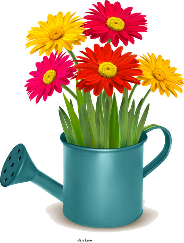 Free Flowers Watering Can Flower Spring For Gerbera Clipart Transparent Background