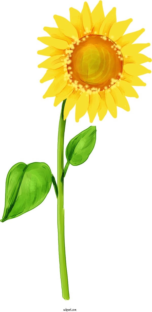 Free Flowers Cartoon 1001 Internet Jokes II   Irish Edition Drawing For Sunflower Clipart Transparent Background