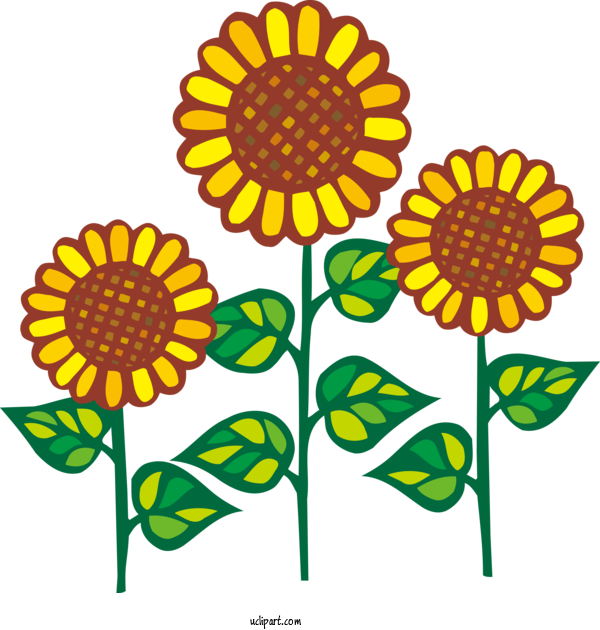 Free Flowers Common Sunflower Flower Painting For Sunflower Clipart Transparent Background