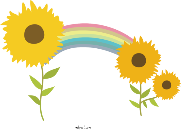 Free Flowers Common Sunflower Royalty Free Pixel For Sunflower Clipart Transparent Background