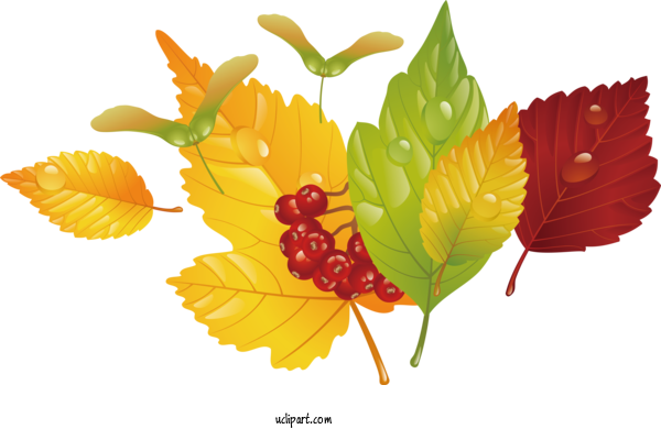 Free Nature Floral Design Design Petal For Leaf Clipart Transparent Background