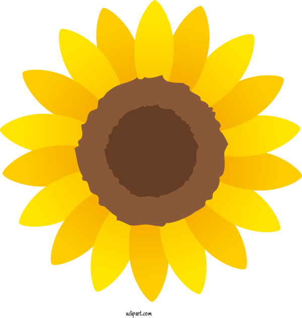 Free Flowers Common Sunflower Sunflower Seed Seed For Sunflower Clipart Transparent Background