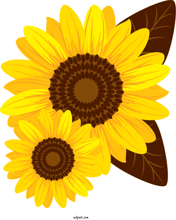 Free Flowers Amazon.com Pete's Bar And Grill For Sunflower Clipart Transparent Background
