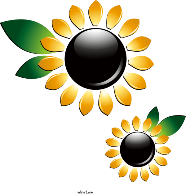 Free Flowers Adobe Illustrator 3D Computer Graphics For Sunflower Clipart Transparent Background