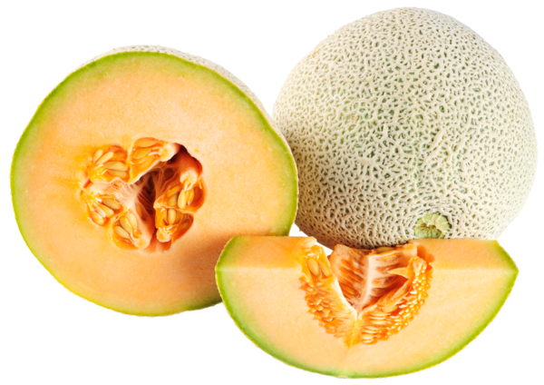 Free Watermelon Melon Fruit Honeydew Clipart Clipart Transparent Background