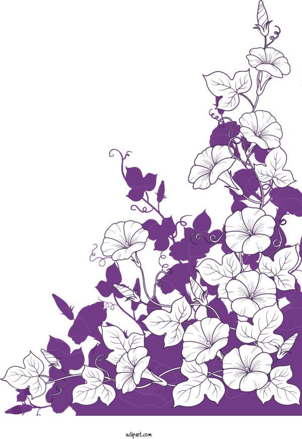 Free Flowers Floral Design Design Visual Arts For Morning Glory Clipart Transparent Background