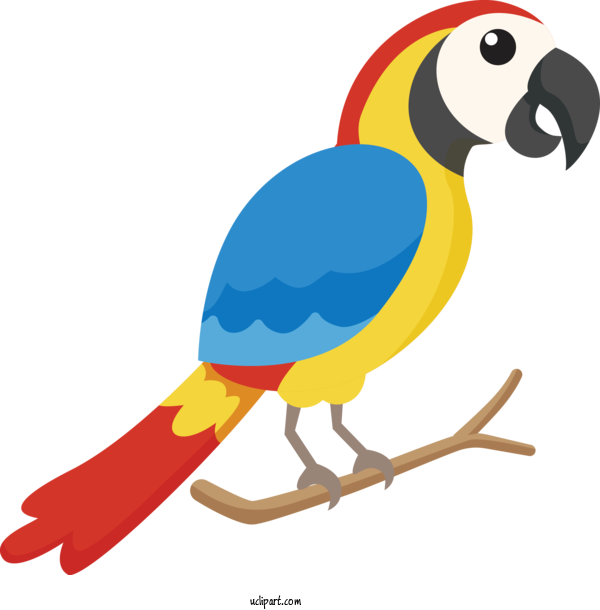 Free Animals Macaw だいちのこどもえん Education For Bird Clipart Transparent Background