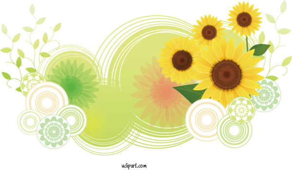 Free Flowers Floral Design Flower Cut Flowers For Sunflower Clipart Transparent Background