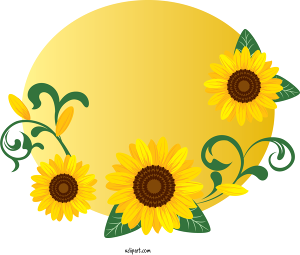 Free Flowers Flower Cut Flowers Floral Design For Sunflower Clipart Transparent Background