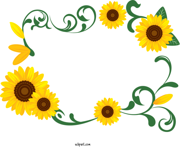 Free Flowers Common Sunflower Design Watercolor Painting For Sunflower Clipart Transparent Background