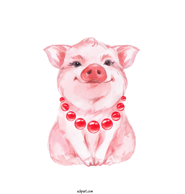Free Animals Watercolor Painting Painting Drawing For Pig Clipart Transparent Background