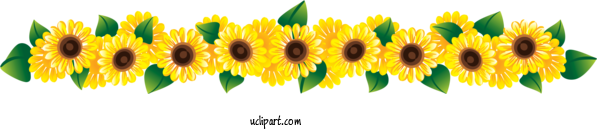 Free Flowers Flower Transparency Floral Design For Sunflower Clipart Transparent Background