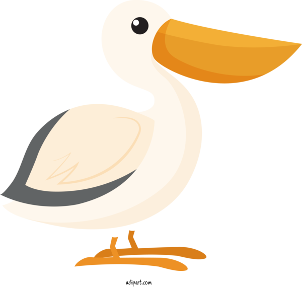 Free Animals Duck Cartoon Beak For Bird Clipart Transparent Background