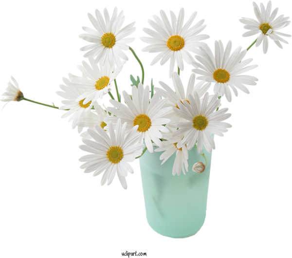 Free Flowers Vase Flower Common Daisy For Marguerite Clipart Transparent Background