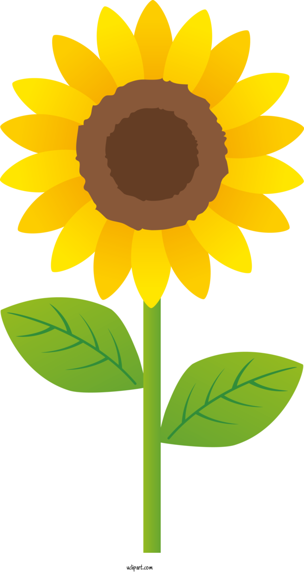 Free Flowers Common Sunflower Hokuryu Blog For Sunflower Clipart Transparent Background