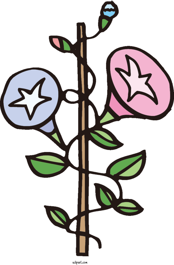 Free Flowers Japanese Morning Glory Plant Stem Composition For Morning Glory Clipart Transparent Background