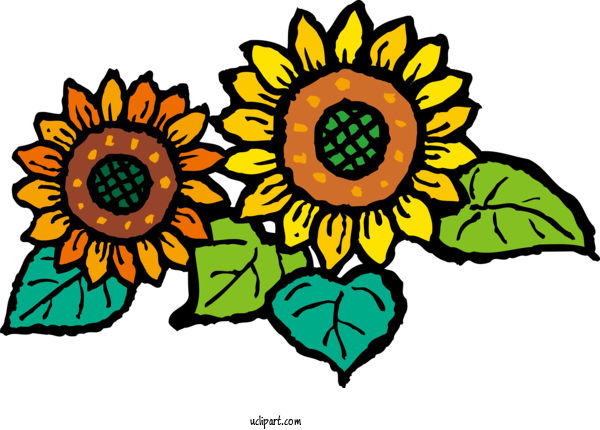 Free Flowers 彦根休日急病診療所 Floral Design Pediatrics For Sunflower Clipart Transparent Background