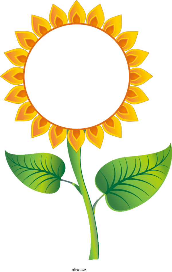 Free Flowers Drawing Blog Cartoon For Sunflower Clipart Transparent Background