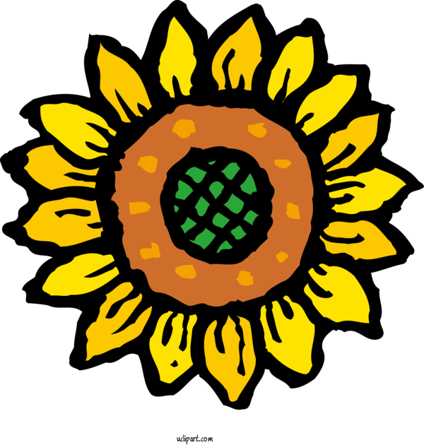 Free Flowers Icon Common Sunflower Health For Sunflower Clipart Transparent Background