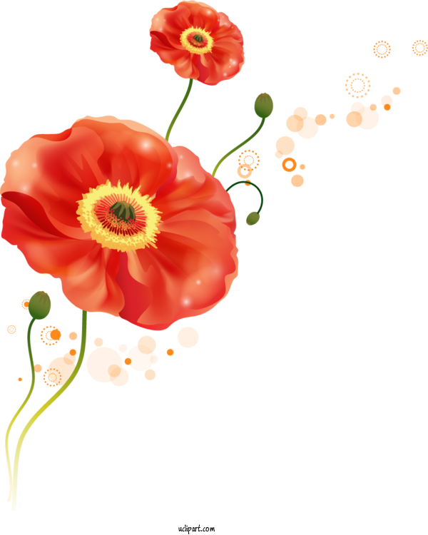 Free Flowers Wall Decal Sticker Wall For Poppy Flower Clipart Transparent Background