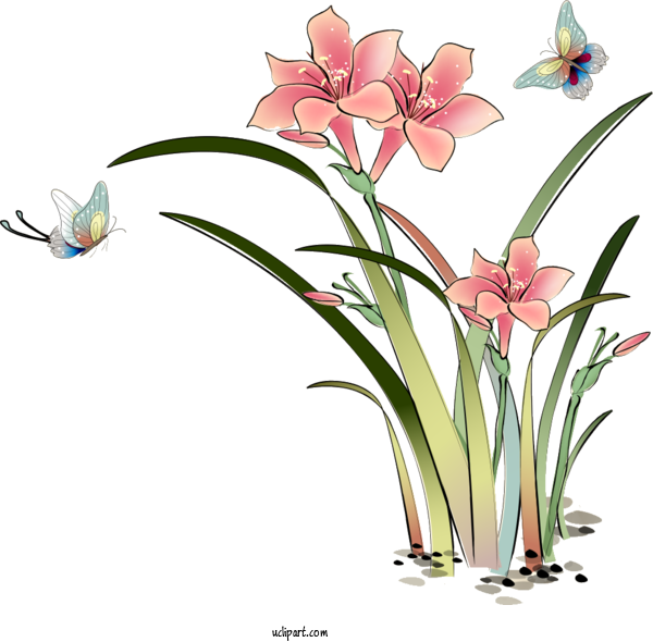 Free Flowers Watercolor Painting Ink Wash Painting Painting For Lily Clipart Transparent Background