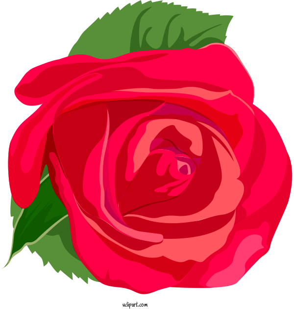 Free Flowers Transparency Rose Design For Rose Clipart Transparent Background