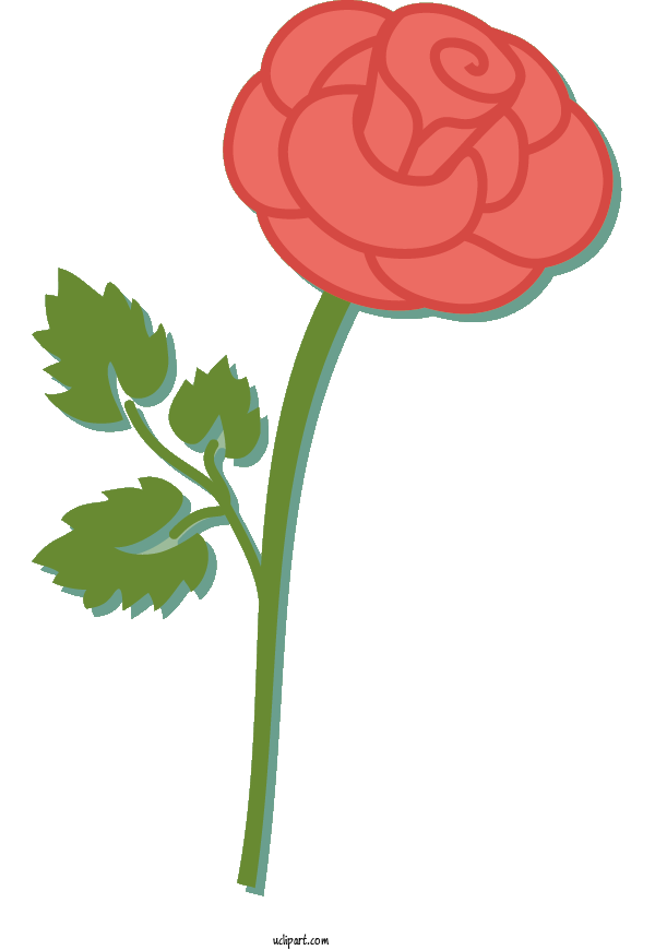 Free Flowers Plant Stem Petal Leaf For Rose Clipart Transparent Background