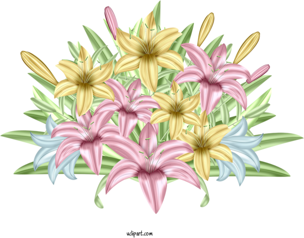 Free Flowers Floral Design Flower Birthday For Lily Clipart Transparent Background