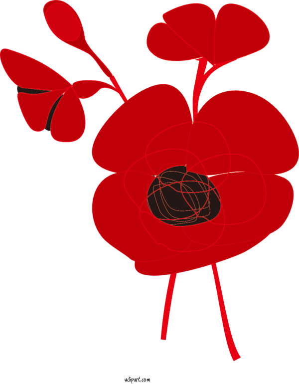 Free Flowers Design Vector For Poppy Flower Clipart Transparent Background