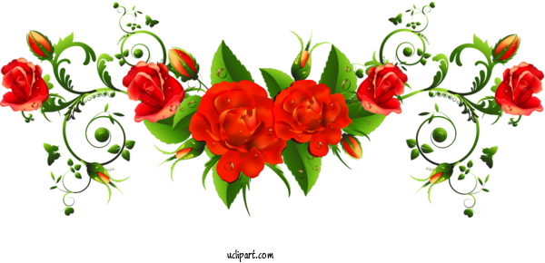 Free Flowers Floral Design Flower Rose For Rose Clipart Transparent Background