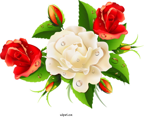 Free Flowers International Women's Day Flower Greeting Card For Rose Clipart Transparent Background