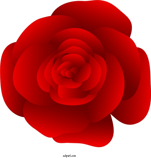 Free Flowers Garden Roses Japanese Camellia Petal For Rose Clipart Transparent Background