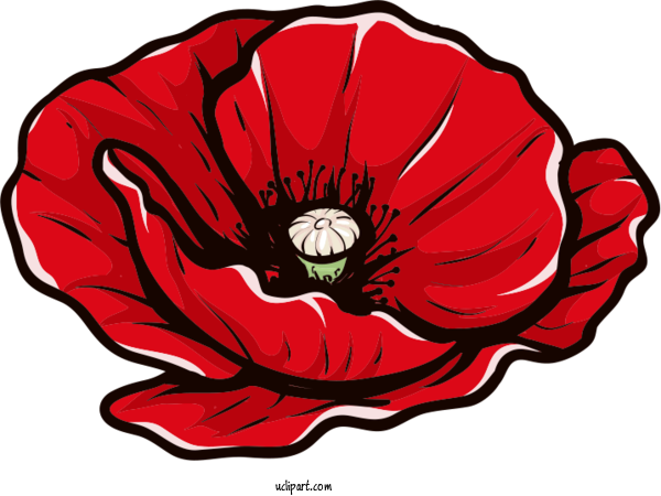 Free Flowers Royalty Free Design Stock.xchng For Poppy Flower Clipart Transparent Background