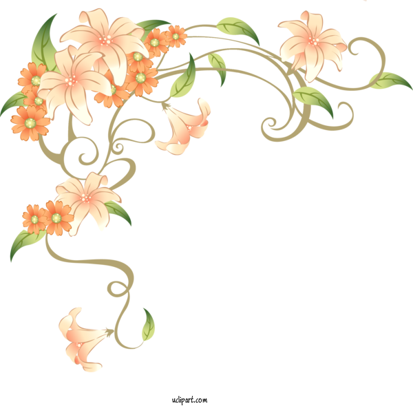 Free Flowers Design Motif Drawing For Lily Clipart Transparent Background