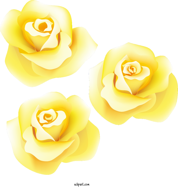 Free Flowers Garden Roses Design Pixel For Rose Clipart Transparent Background