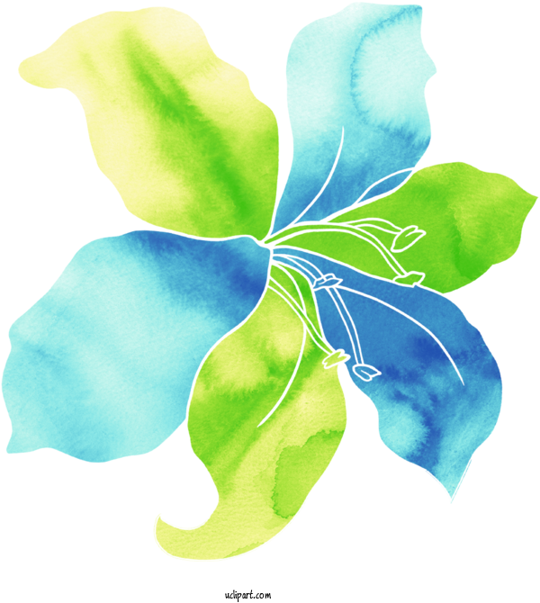 Free Flowers Blue Flower Design For Lily Clipart Transparent Background