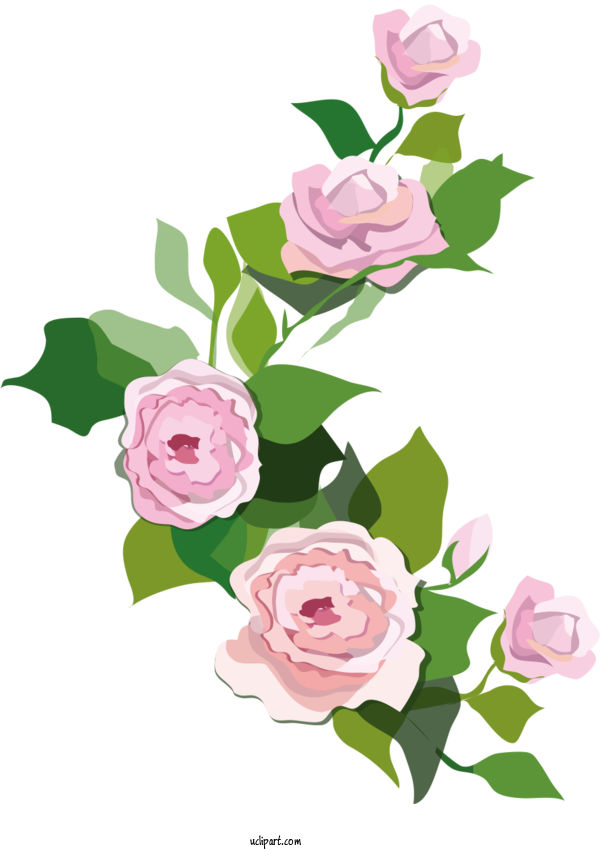Free Flowers Vignette Drawing Sticker For Rose Clipart Transparent Background
