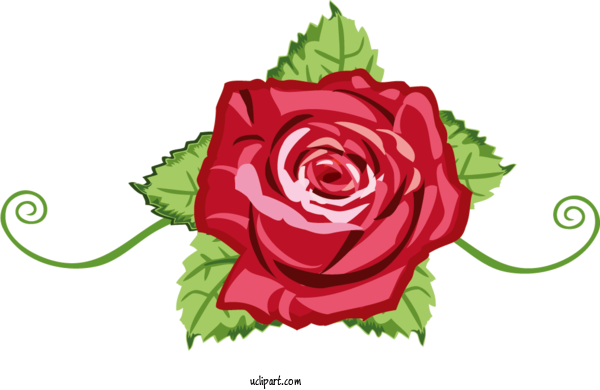 Free Flowers Garden Roses Flower Floral Design For Rose Clipart Transparent Background