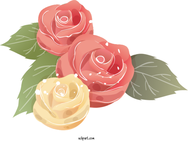 Free Flowers Mother's Day Cut Flowers Flower For Rose Clipart Transparent Background