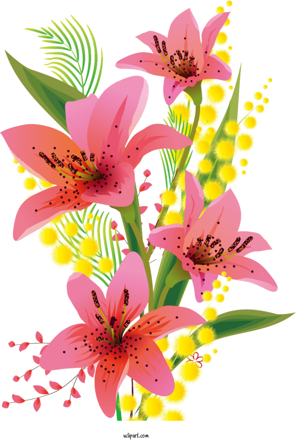 Free Flowers Floral Design Easter Lily Madonna Lily For Lily Clipart Transparent Background