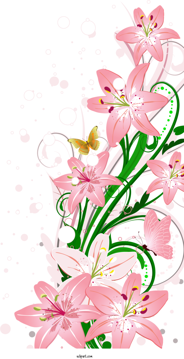Free Flowers Floral Design Flower Flower Bouquet For Lily Clipart Transparent Background