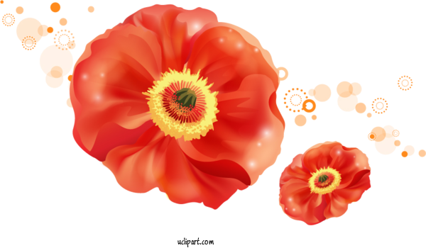 Free Flowers Flower Design Painting For Poppy Flower Clipart Transparent Background